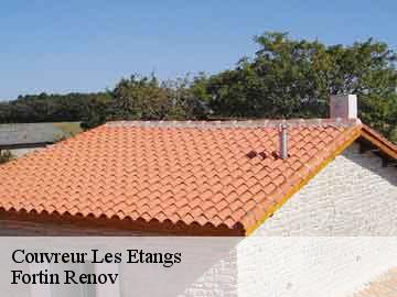 Couvreur  les-etangs-57530 Fortin Renov