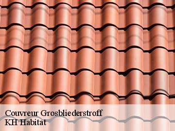 Couvreur grosbliederstroff-57520 Artisan Stenegri