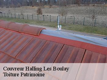 Couvreur  halling-les-boulay-57220 Toiture Patrimoine