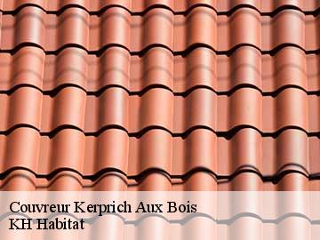 Couvreur kerprich-aux-bois-57830 Artisan Stenegri