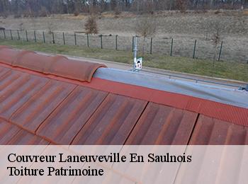 Couvreur  laneuveville-en-saulnois-57590 Toiture Patrimoine
