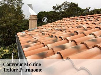Couvreur  57670