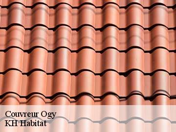 Couvreur ogy-57530 Artisan Stenegri