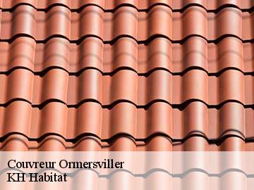 Couvreur ormersviller-57720 Artisan Stenegri