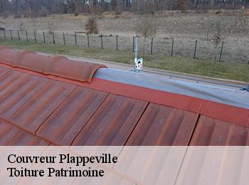 Couvreur  plappeville-57050 Toiture Patrimoine