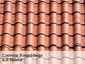 Couvreur roupeldange-57220 Artisan Stenegri