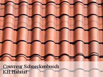 Couvreur schneckenbusch-57400 Artisan Stenegri