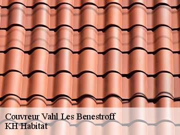 Couvreur vahl-les-benestroff-57670 Artisan Stenegri