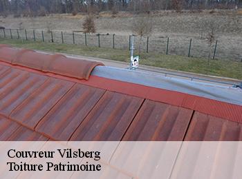Couvreur  vilsberg-57370 Toiture Patrimoine