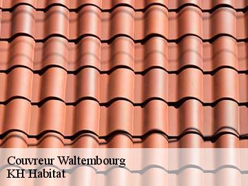 Couvreur waltembourg-57370 Artisan Stenegri