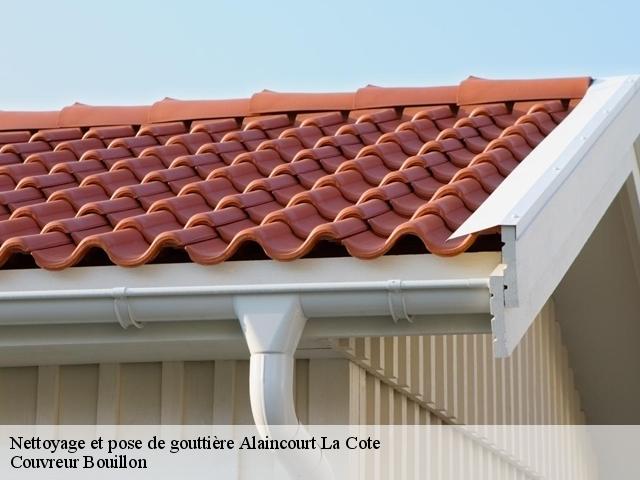 Nettoyage et pose de gouttière  alaincourt-la-cote-57590 Couvreur Bouillon