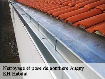 Nettoyage et pose de gouttière  augny-57176 Couvreur Bouillon