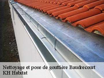 Nettoyage et pose de gouttière  baudrecourt-57580 Couvreur Bouillon