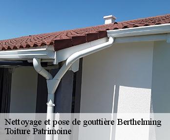 Nettoyage et pose de gouttière berthelming-57930 Toiture Patrimoine