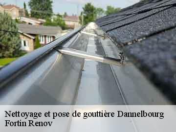 Nettoyage et pose de gouttière dannelbourg-57820 Fortin Renov