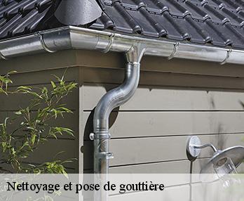 Nettoyage et pose de gouttière