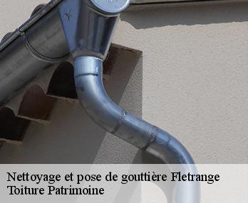 Nettoyage et pose de gouttière  57690