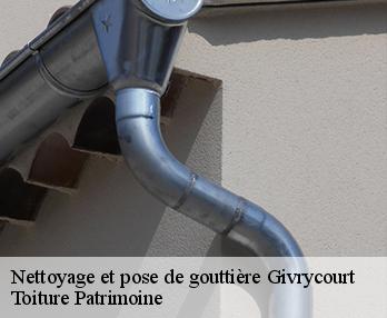 Nettoyage et pose de gouttière  57670