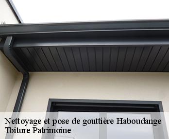 Nettoyage et pose de gouttière