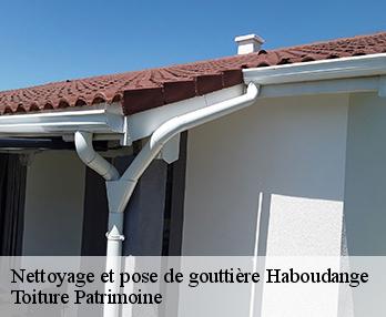Nettoyage et pose de gouttière  haboudange-57340 Toiture Patrimoine