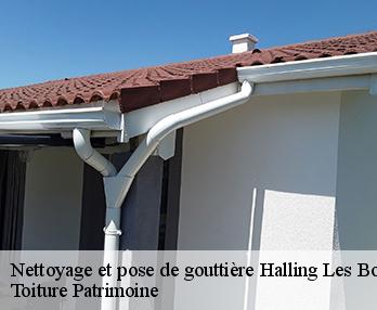 Nettoyage et pose de gouttière  halling-les-boulay-57220 Toiture Patrimoine