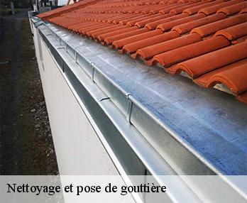 Nettoyage et pose de gouttière  57720