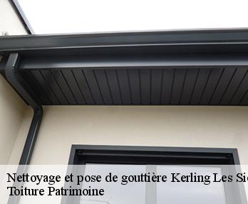 Nettoyage et pose de gouttière