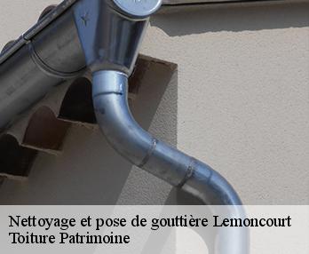 Nettoyage et pose de gouttière  57590