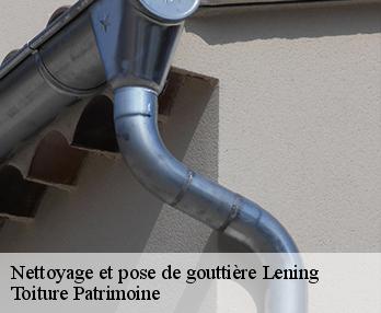 Nettoyage et pose de gouttière  57670