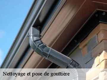 Nettoyage et pose de gouttière