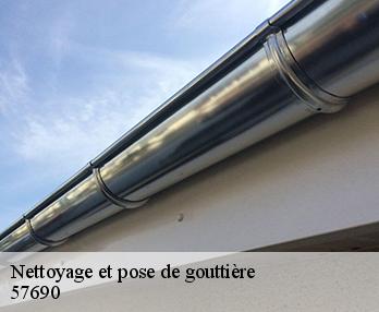 Nettoyage et pose de gouttière