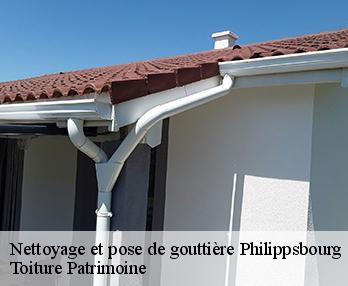Nettoyage et pose de gouttière  philippsbourg-57230 Toiture Patrimoine