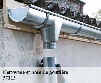 Nettoyage et pose de gouttière 57115