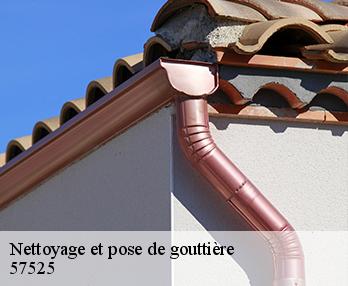 Nettoyage et pose de gouttière 57525