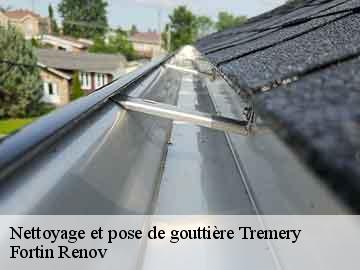 Nettoyage et pose de gouttière tremery-57300 Fortin Renov