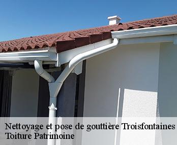 Nettoyage et pose de gouttière  troisfontaines-57870 Toiture Patrimoine