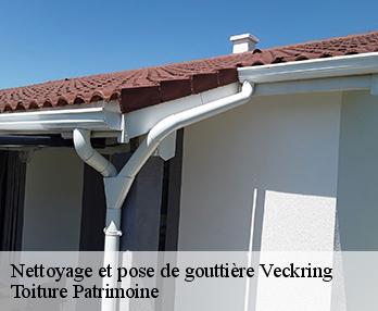 Nettoyage et pose de gouttière  veckring-57920 Toiture Patrimoine