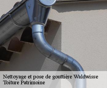 Nettoyage et pose de gouttière  57480