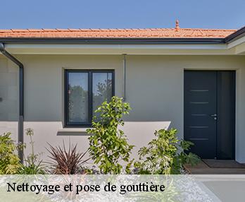 Nettoyage et pose de gouttière