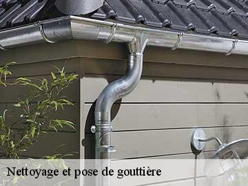 Nettoyage et pose de gouttière