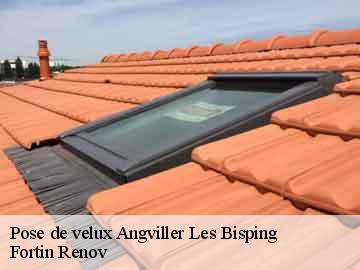 Pose de velux angviller-les-bisping-57930 Fortin Renov