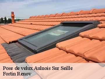 Pose de velux aulnois-sur-seille-57590 Fortin Renov