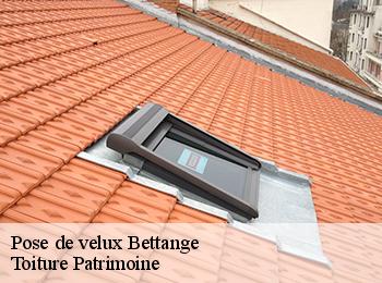 Pose de velux