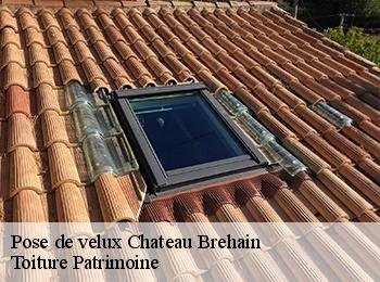 Pose de velux  chateau-brehain-57340 Toiture Patrimoine
