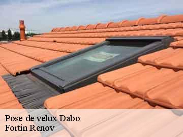 Pose de velux dabo-57850 Fortin Renov