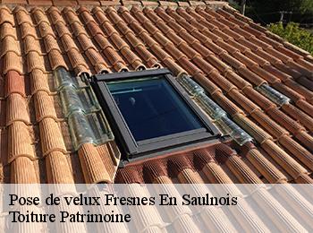 Pose de velux  fresnes-en-saulnois-57170 Toiture Patrimoine