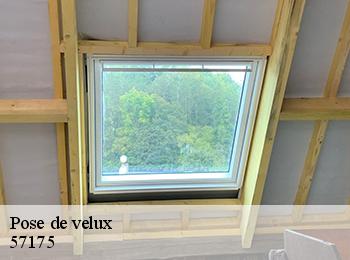 Pose de velux  57175