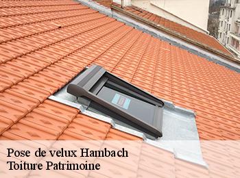 Pose de velux