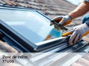 Pose de velux  57690