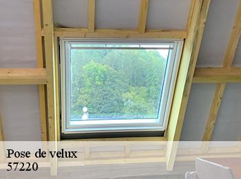 Pose de velux  57220